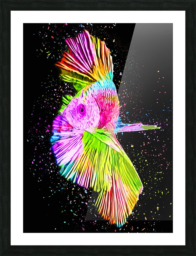 Betta Fish Lover 16 Picture Frame print