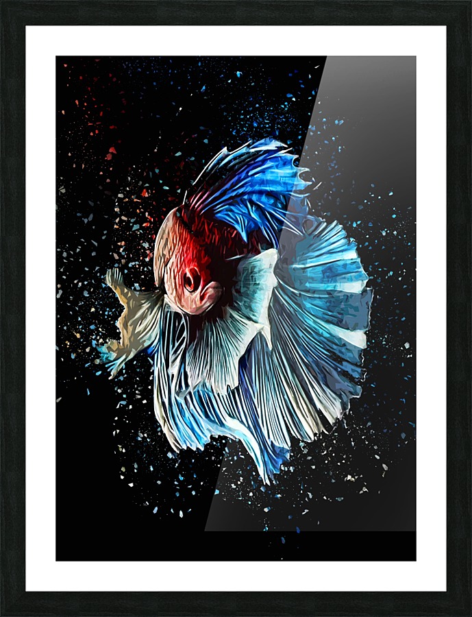 Betta Fish Lover 15 Picture Frame print