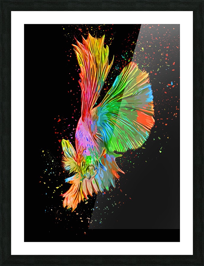 Betta Fish Lover 14 Picture Frame print