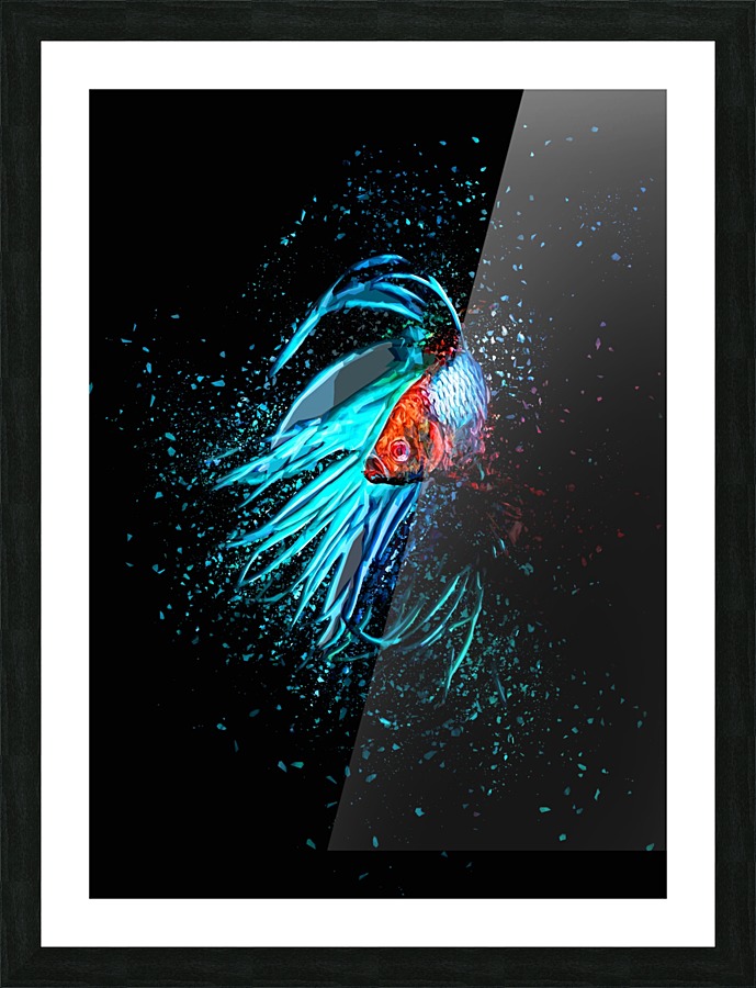 Betta Fish Lover 13 Picture Frame print