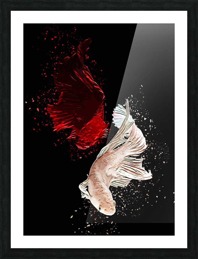 Betta Fish Lover 12 Picture Frame print
