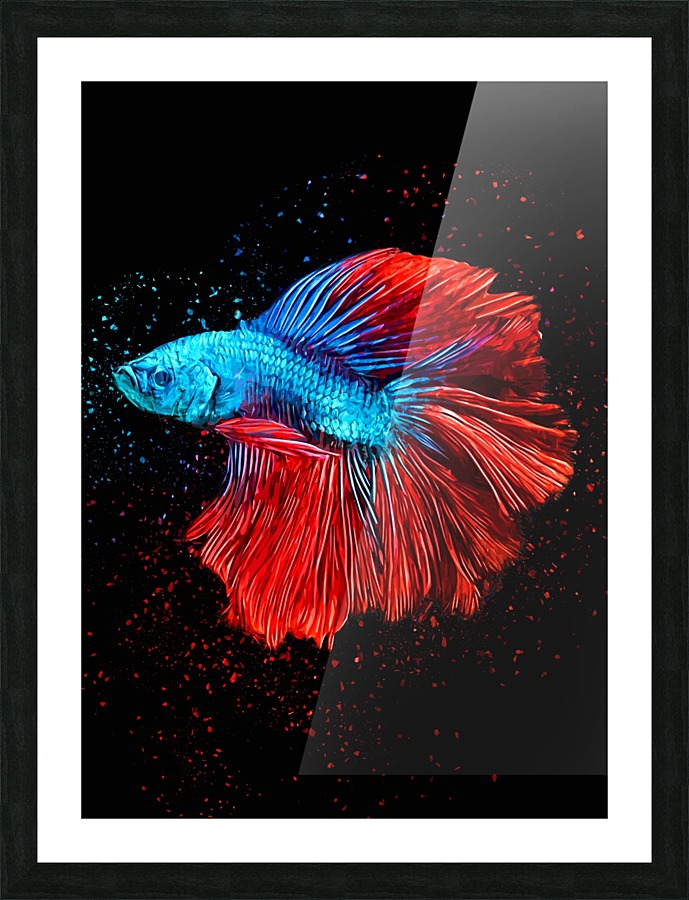 Betta Fish Lover 9 Picture Frame print
