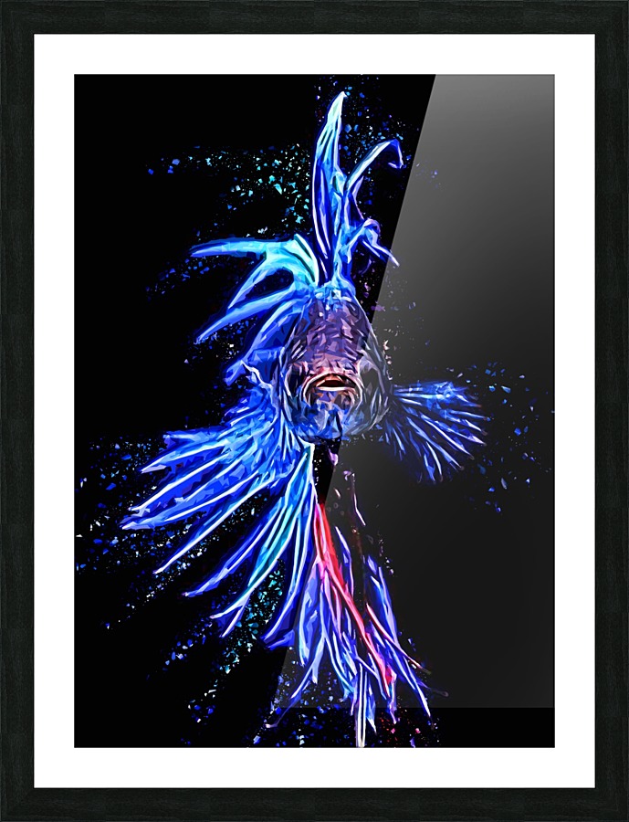 Betta Fish Lover 8 Picture Frame print