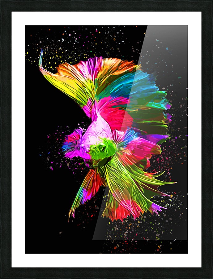 Betta Fish Lover 6 Picture Frame print