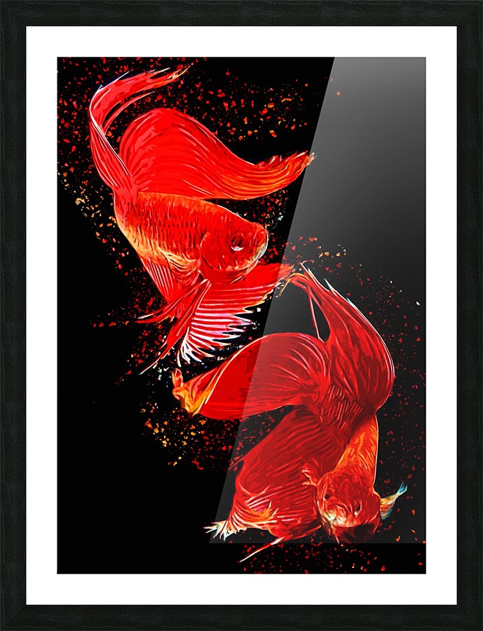 Betta Fish Lover 2 Picture Frame print