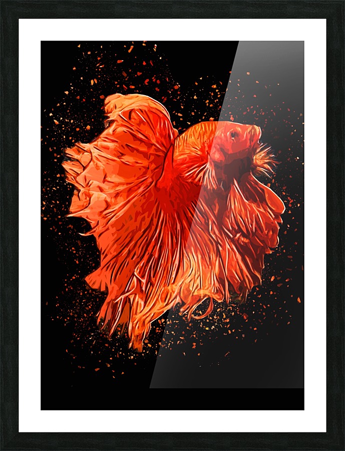 Betta Fish Lover  Picture Frame print