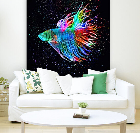 Betta Fish Lover 18 Reproduction