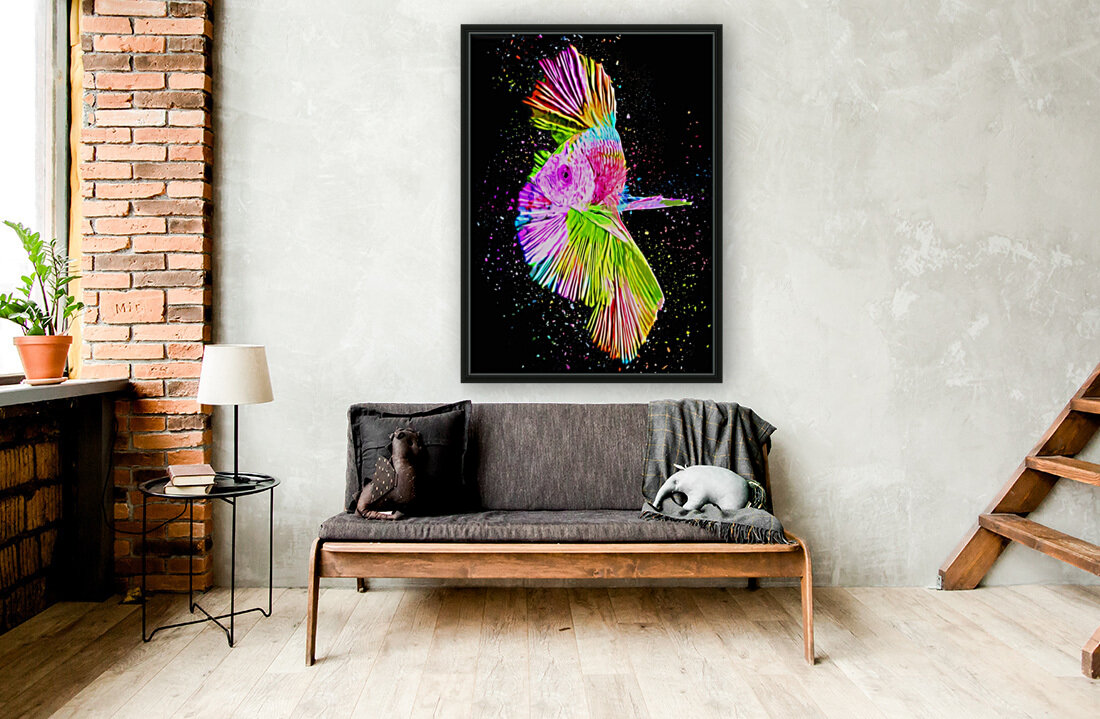 Betta Fish Lover 16 Reproduction