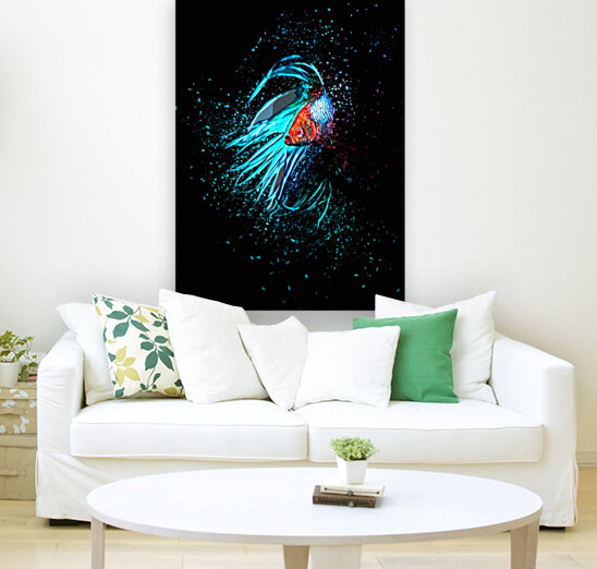 Betta Fish Lover 13 Reproduction