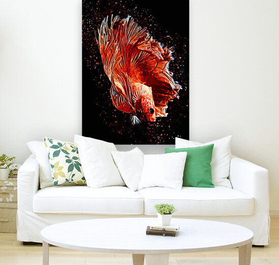 Betta Fish Lover 11 Reproduction