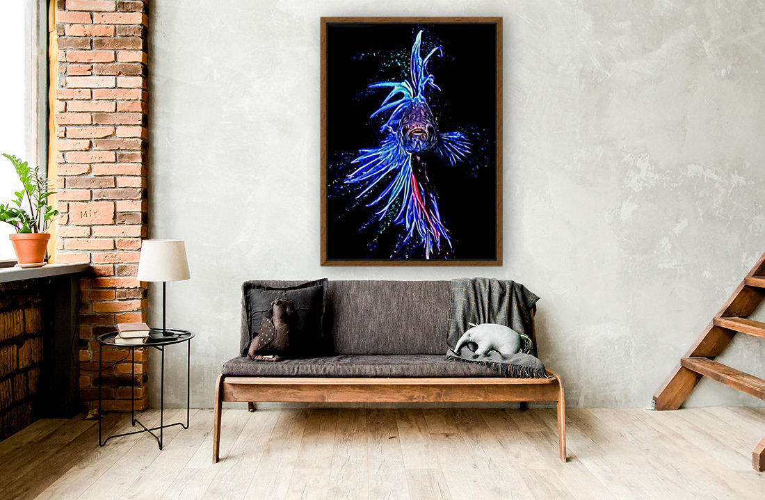 Betta Fish Lover 8 Reproduction
