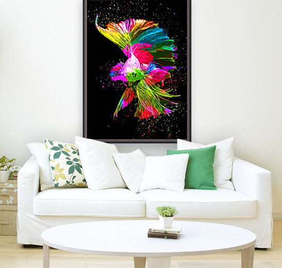 Betta Fish Lover 6 Reproduction