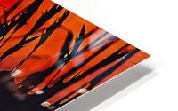 Nature Definition 5 HD Metal print