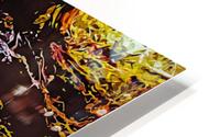 Nature Definition HD Metal print