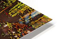 Nature Lover HD Metal print