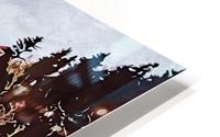 Nature View 7 HD Metal print