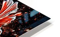 Betta Fish Lover 26 HD Metal print