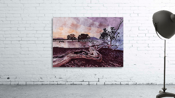 Nature View 10 Wall Preview