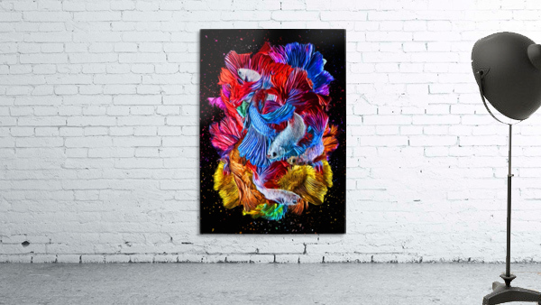 Betta Fish Lover 27 Wall Preview