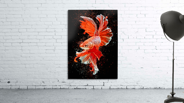 Betta Fish Lover 26 Wall Preview