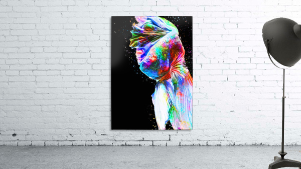 Betta Fish Lover 24 Wall Preview