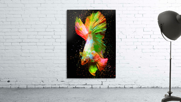 Betta Fish Lover 19 Wall Preview