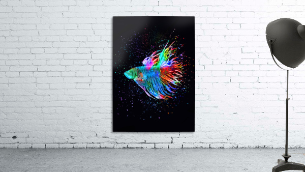 Betta Fish Lover 18 Wall Preview