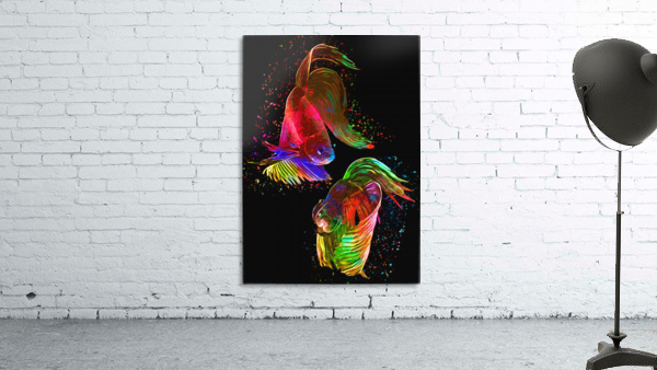Betta Fish Lover 17 Wall Preview