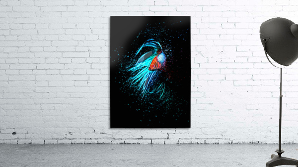 Betta Fish Lover 13 Wall Preview