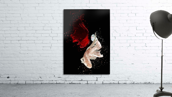 Betta Fish Lover 12 Wall Preview