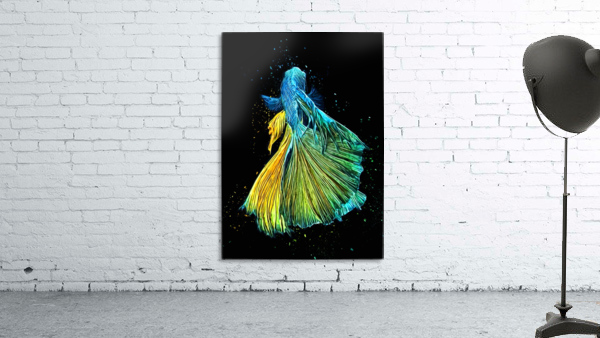 Betta Fish Lover 10 Wall Preview