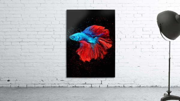 Betta Fish Lover 9 Wall Preview