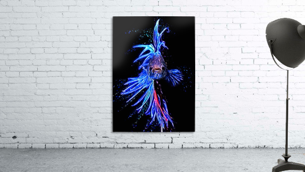 Betta Fish Lover 8 Wall Preview