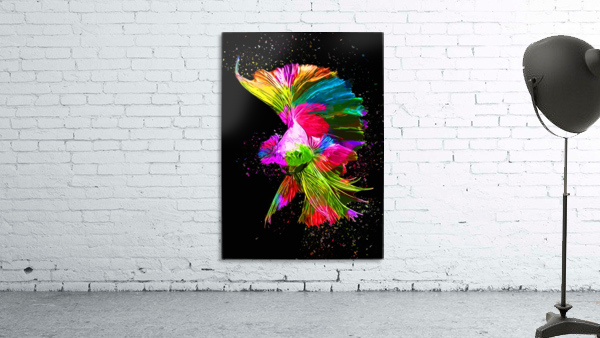 Betta Fish Lover 6 Wall Preview
