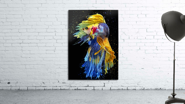 Betta Fish Lover 5 Wall Preview