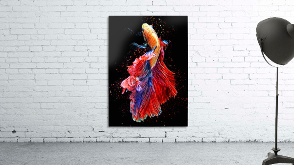 Betta Fish Lover 4 Wall Preview