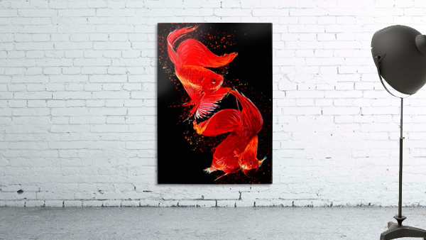 Betta Fish Lover 2 Wall Preview