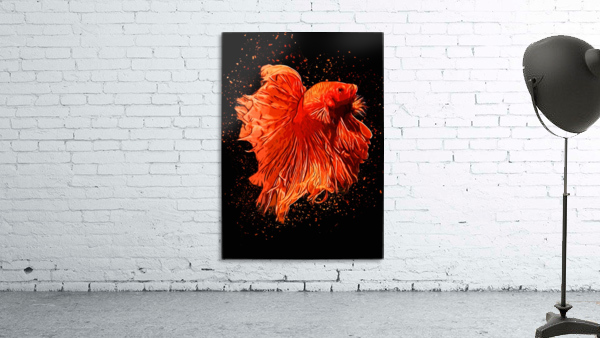 Betta Fish Lover  Wall Preview