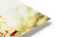RED CROSS HD Metal print
