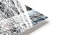 THE HAREM’S VEIL HD Metal print