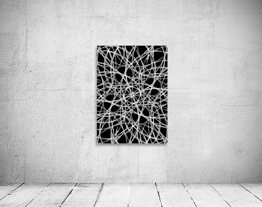 UNIVERSAL PATHWAYS Wall Preview