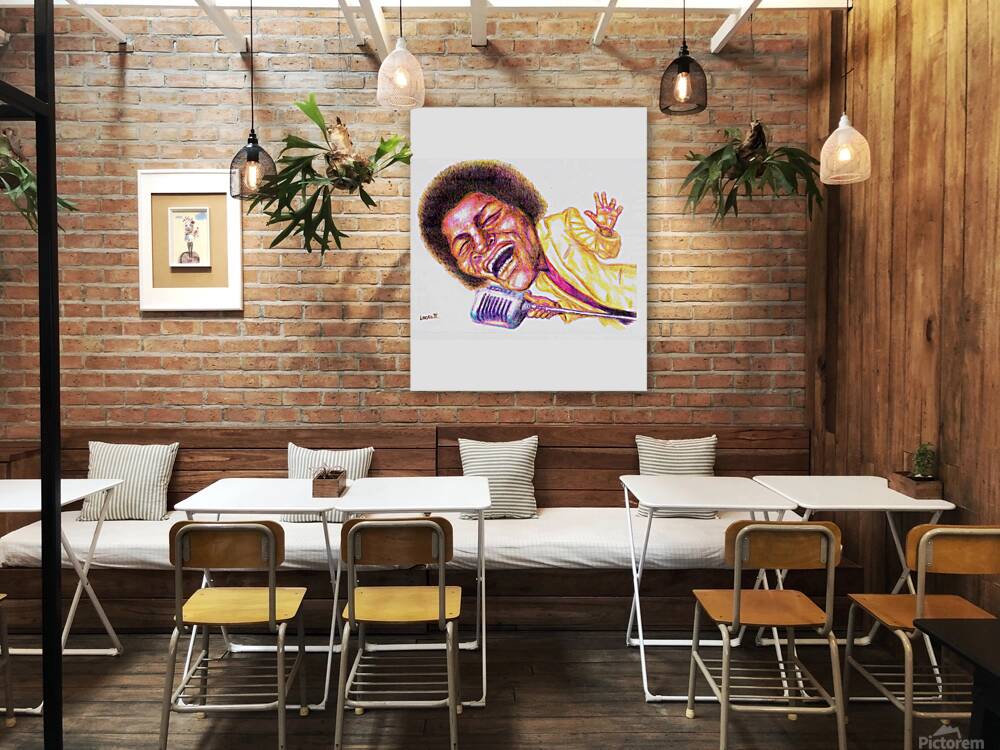 james brown 17 Reproduction