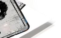 james brown 34 HD Metal print