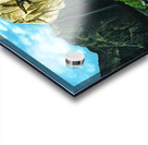 1988 010 Acrylic print