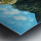 1988 010 Metal print