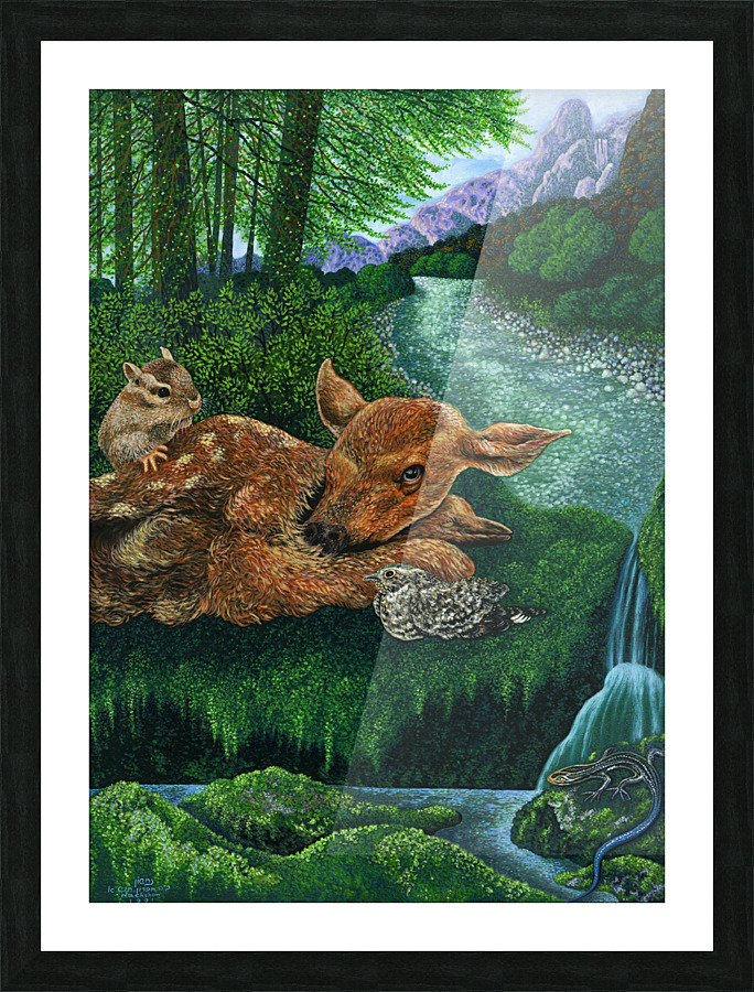 1991 05 Picture Frame print