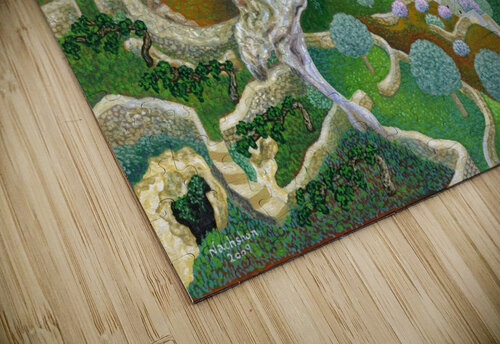 2009 011 Baruch Nachshon puzzle