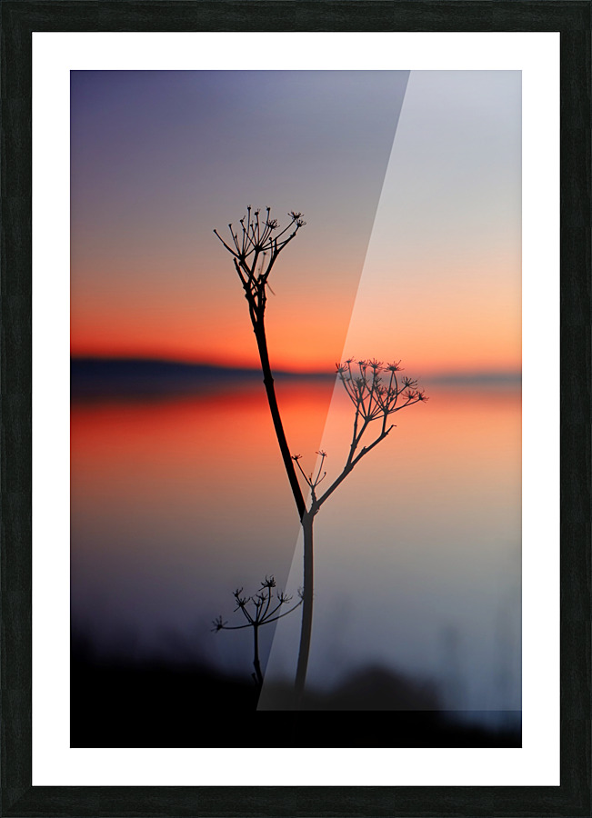 Solitude Picture Frame print