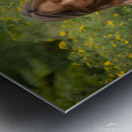 Earth Prayer Metal print