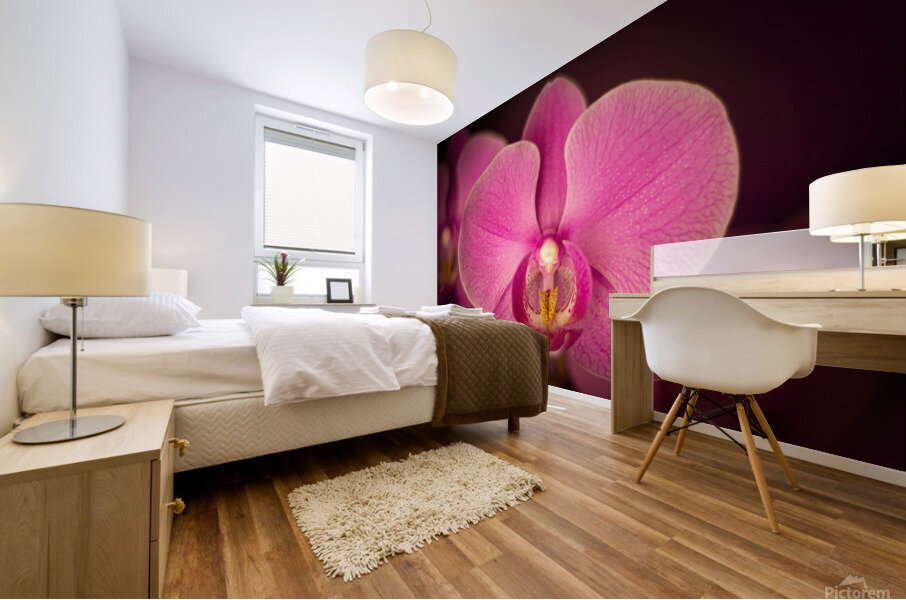 Matangi Orchid Mural print